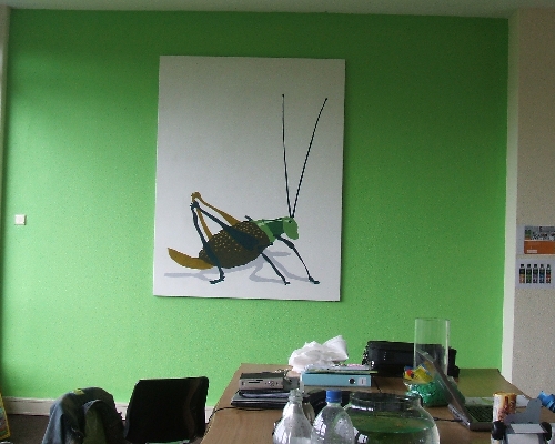 green-cricket.jpg